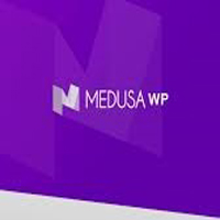 Monte Seu Site Profissional ! Tema Medusa WP